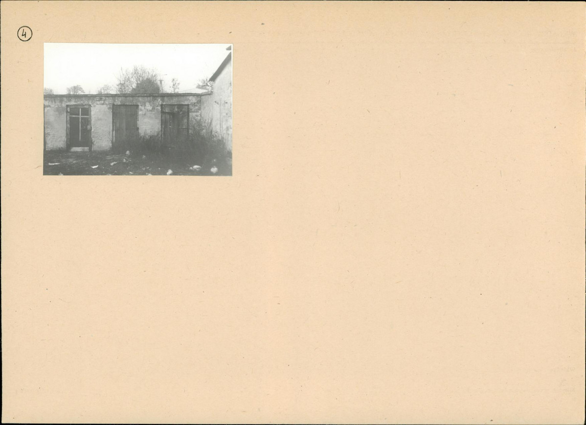 Karta biała, skan nr 6
