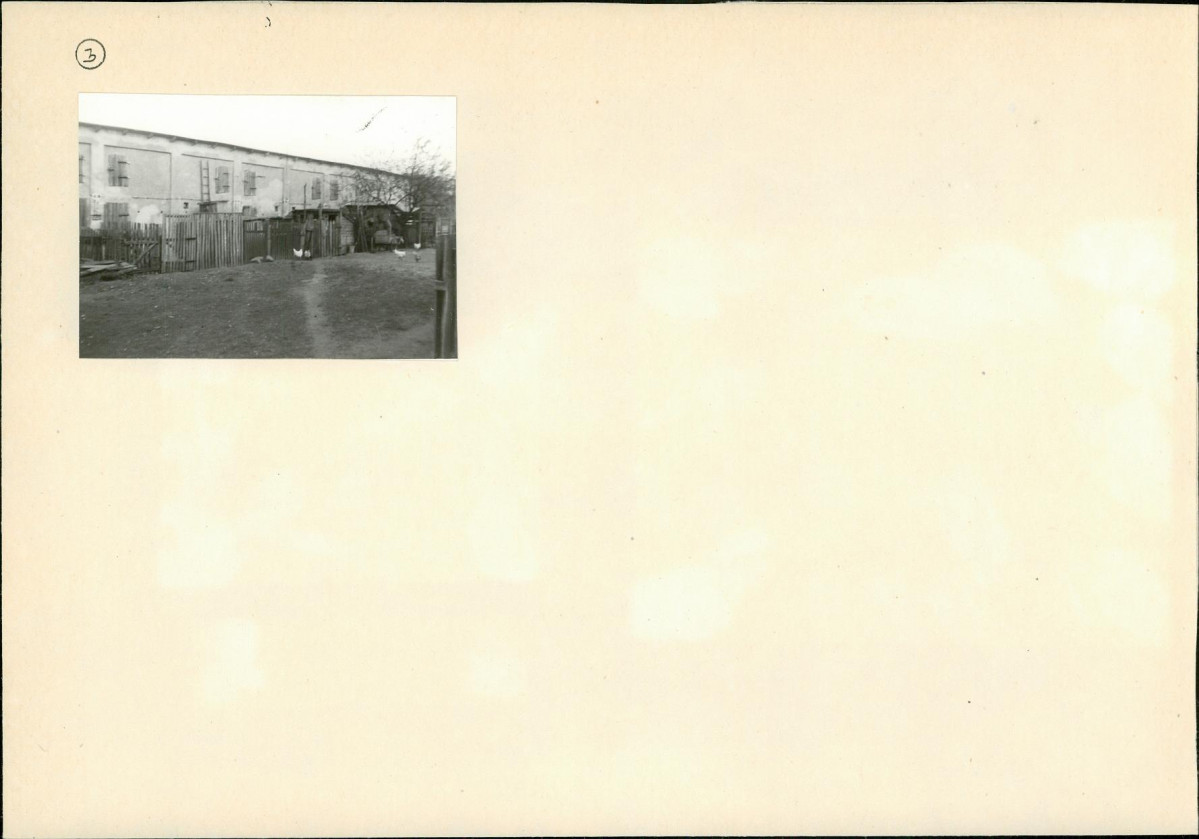 Karta biała, skan nr 6