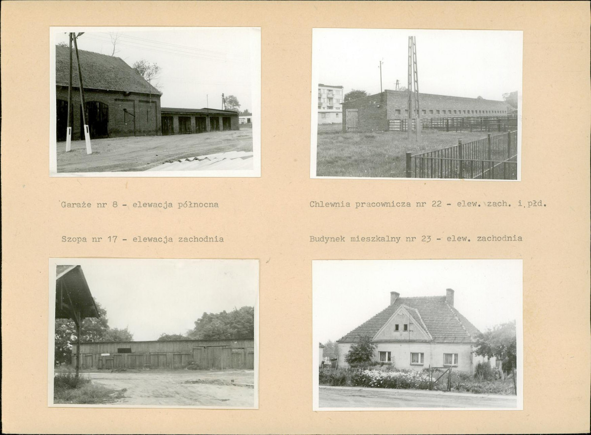 Karta biała, skan nr 14