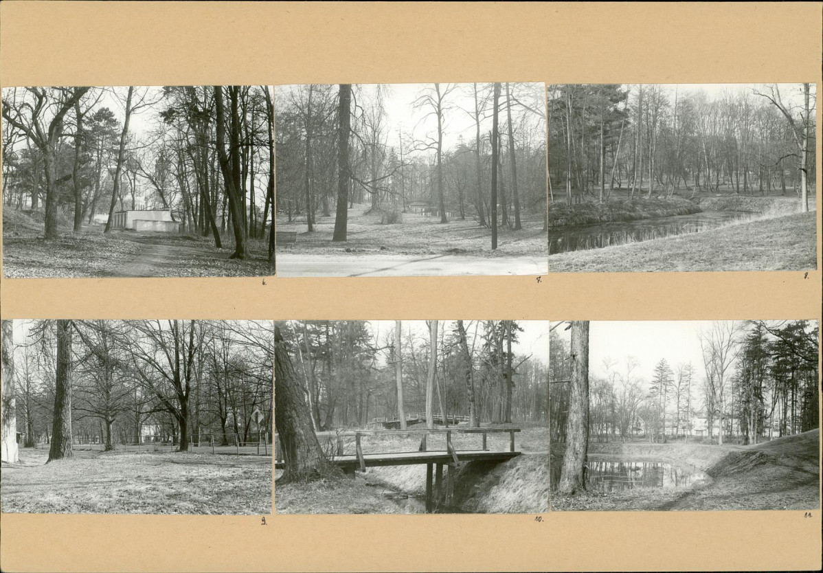 Karta biała, skan nr 6