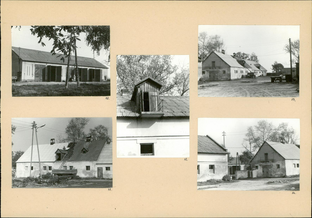 Karta biała, skan nr 8