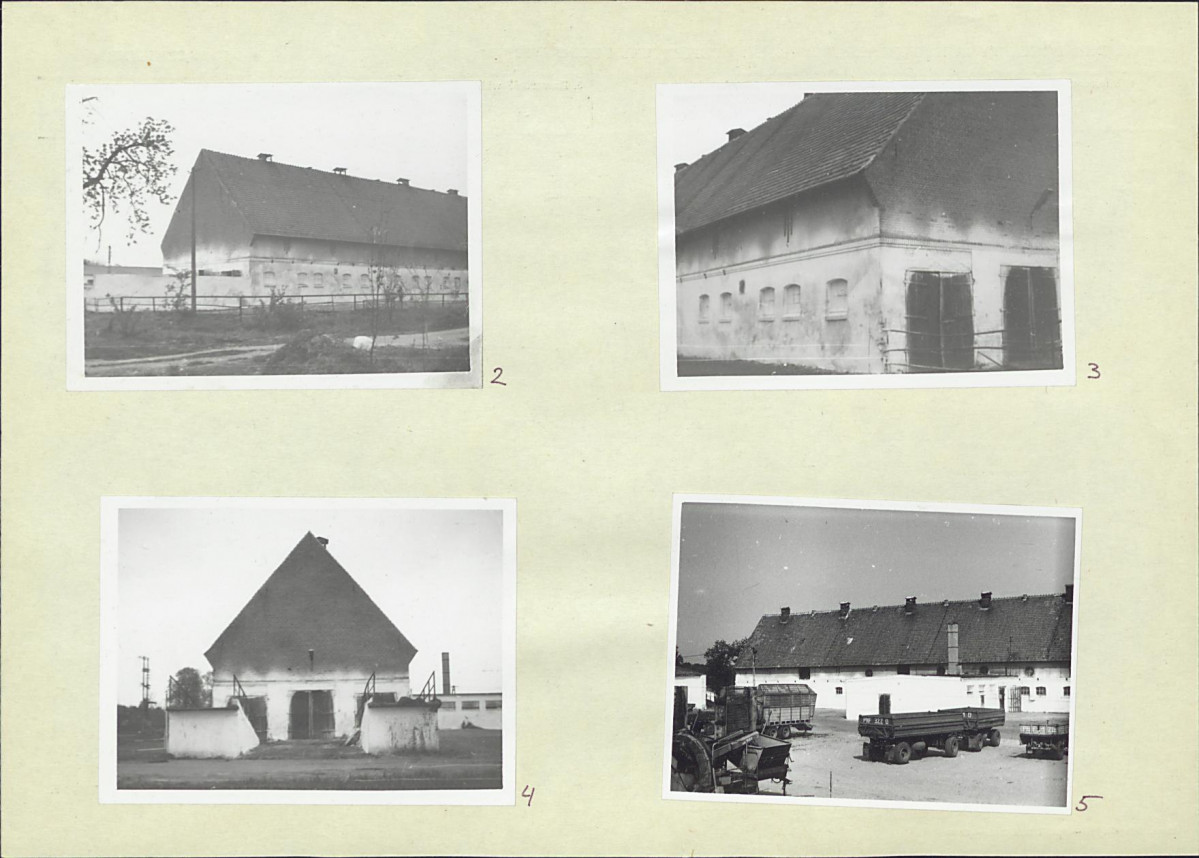 Karta biała, skan nr 6