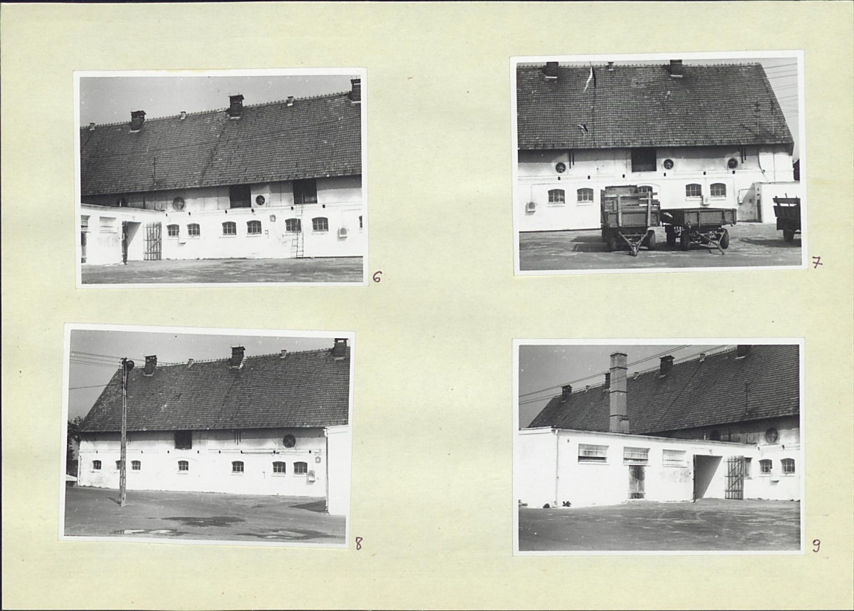 Karta biała, skan nr 8