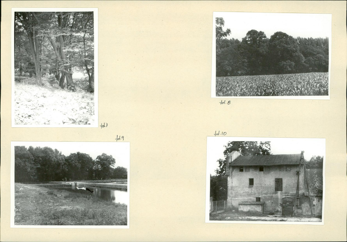 Karta biała, skan nr 8