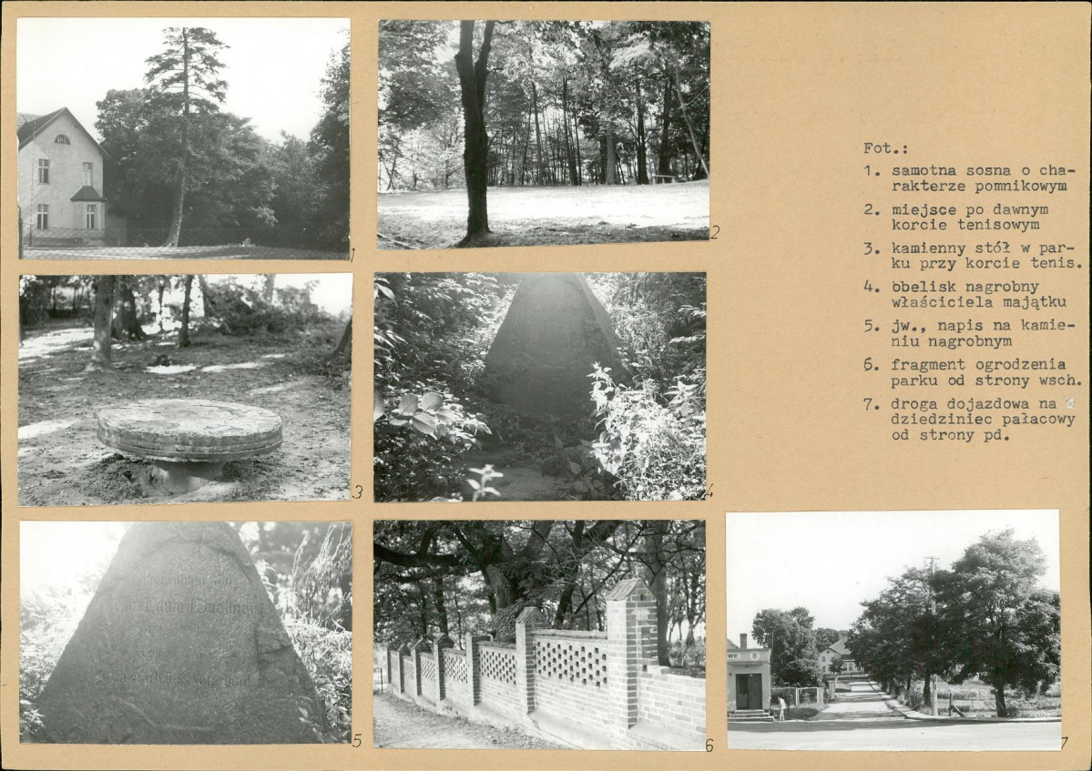 Karta biała, skan nr 8