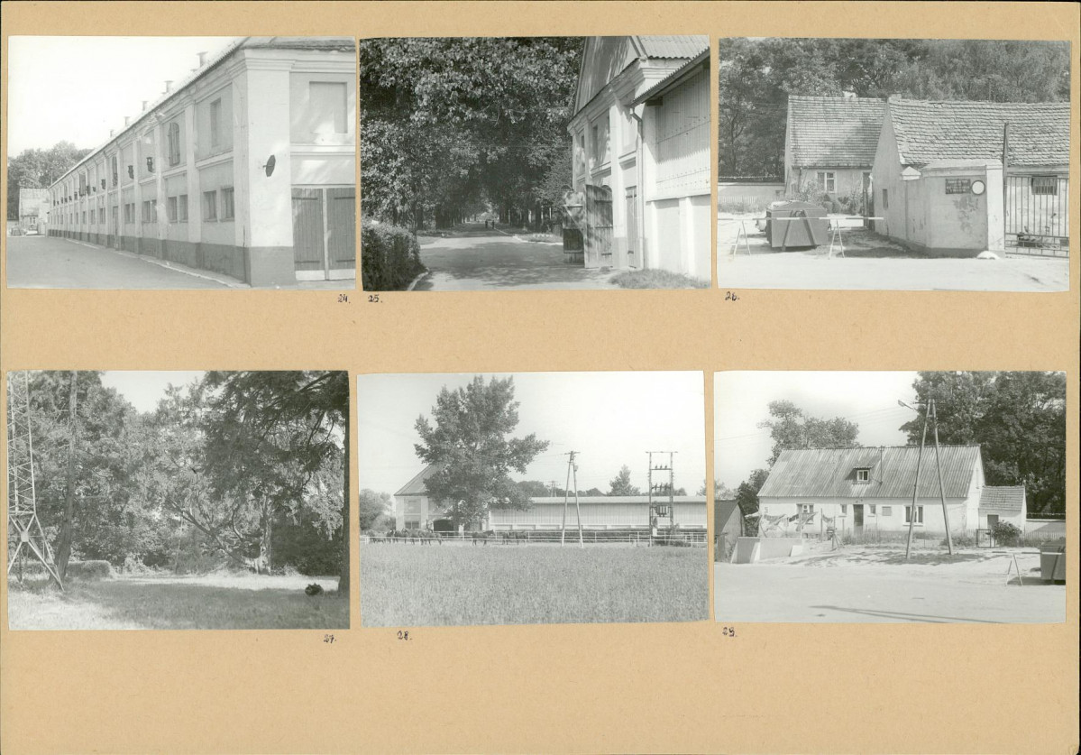 Karta biała, skan nr 10