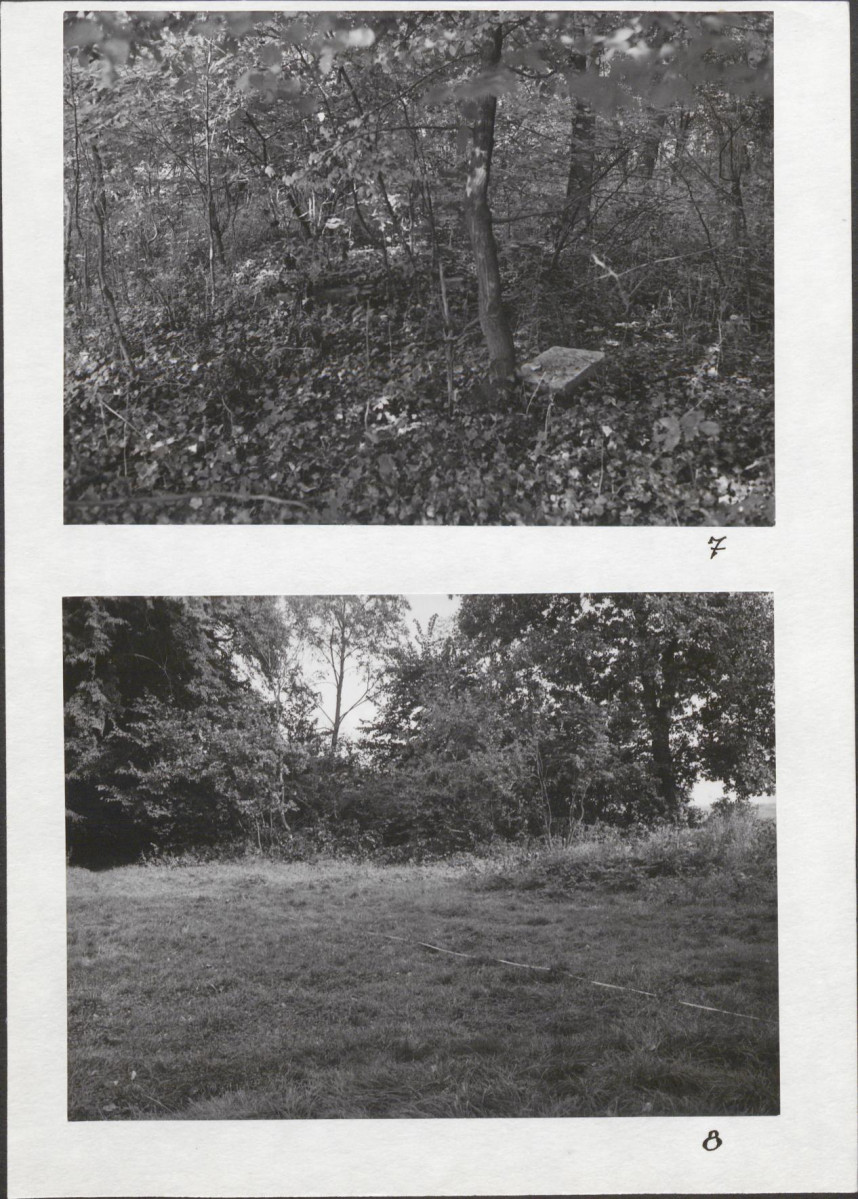 Karta cmentarza, skan nr 8