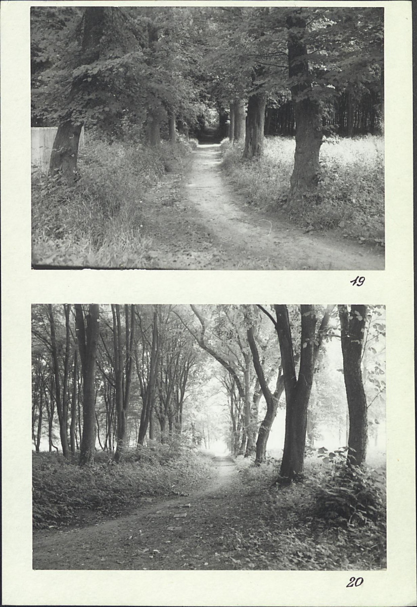 Karta cmentarza, skan nr 15