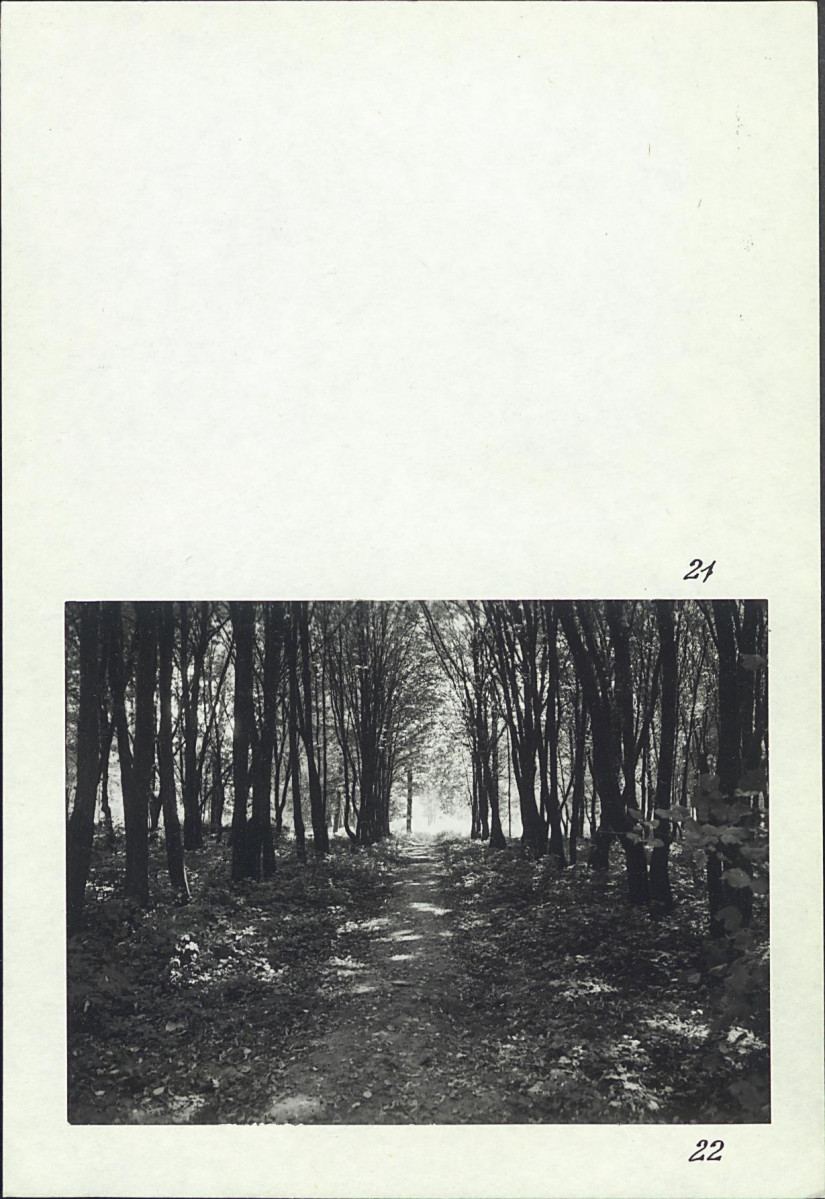 Karta cmentarza, skan nr 16