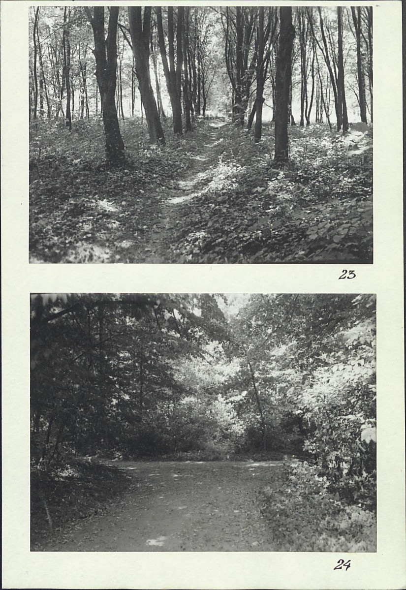 Karta cmentarza, skan nr 17