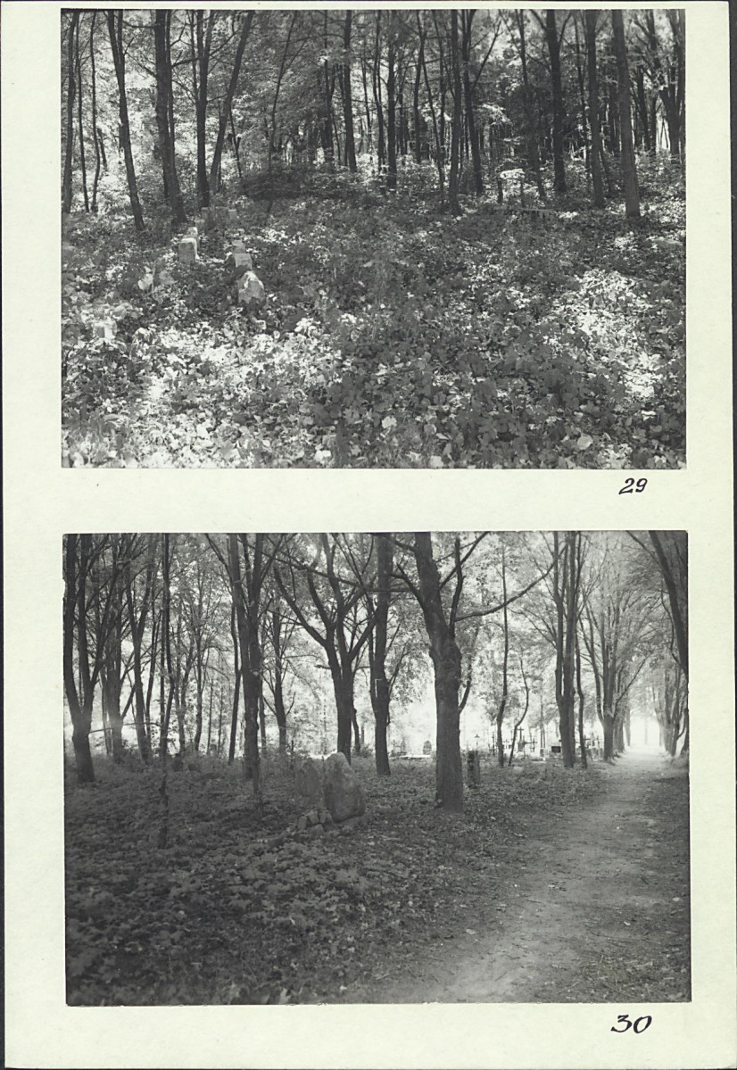 Karta cmentarza, skan nr 20