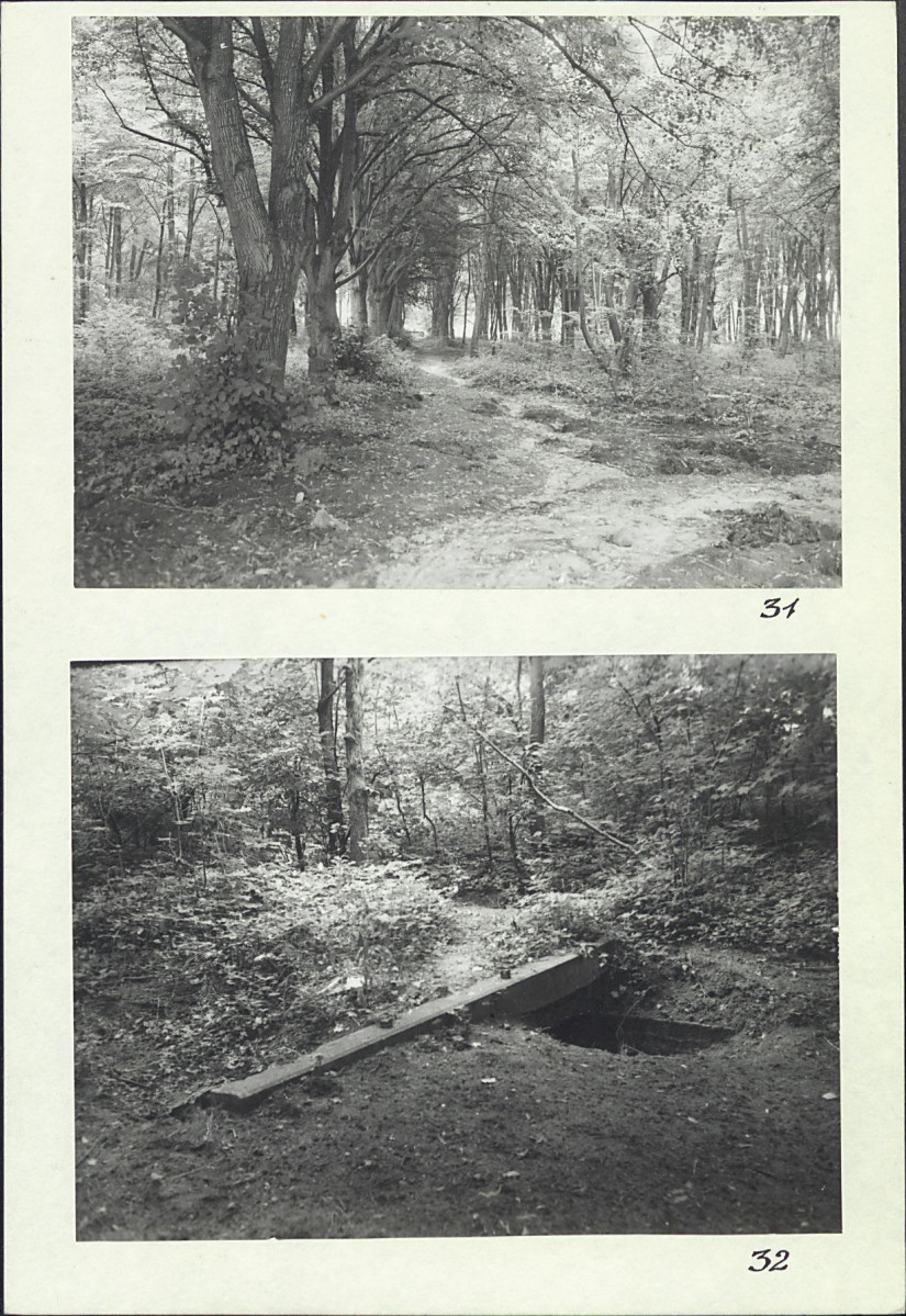 Karta cmentarza, skan nr 21