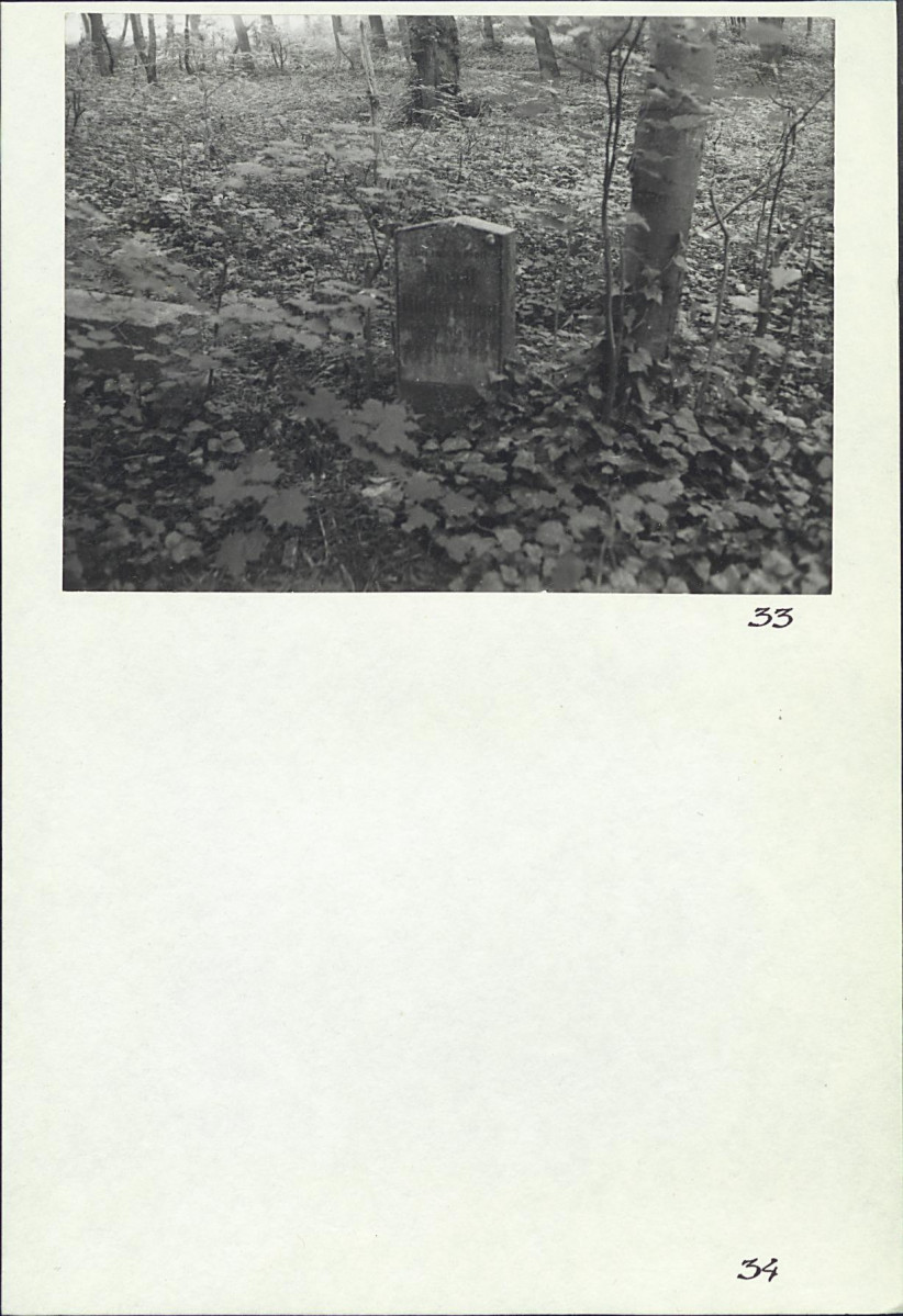 Karta cmentarza, skan nr 22