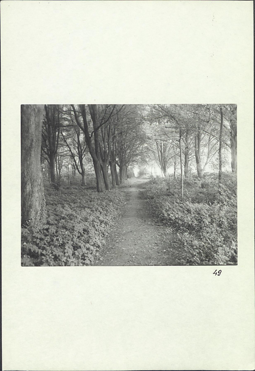 Karta cmentarza, skan nr 29