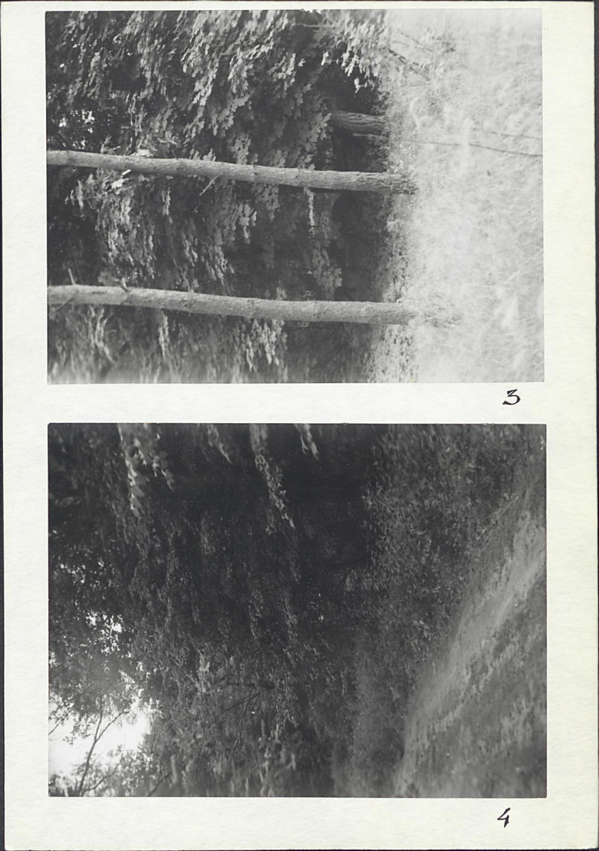 Karta cmentarza, skan nr 6