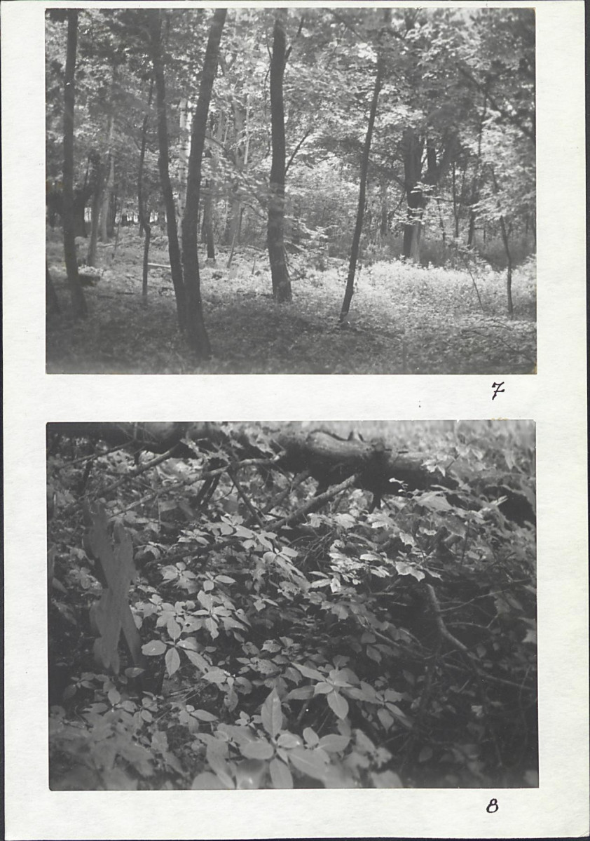 Karta cmentarza, skan nr 8