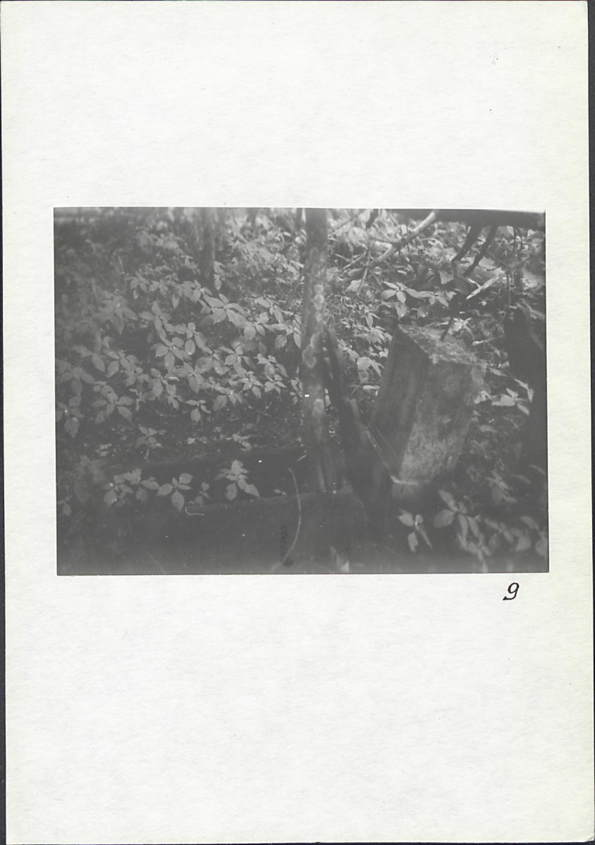 Karta cmentarza, skan nr 9