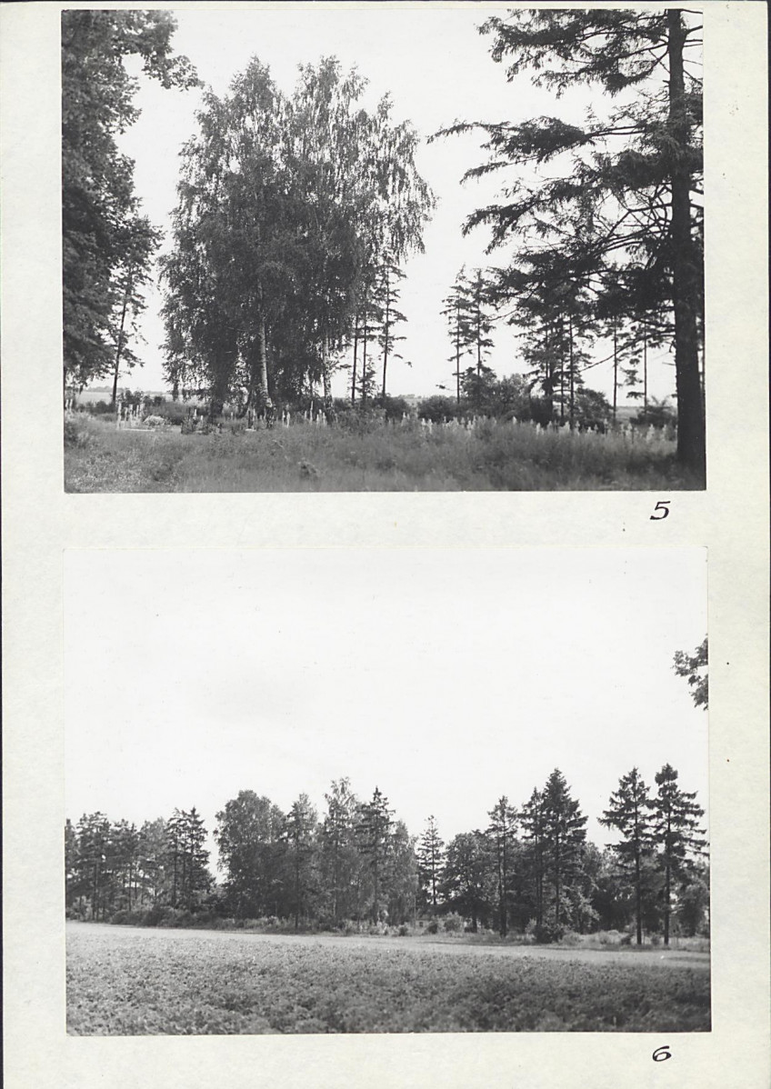 Karta cmentarza, skan nr 7