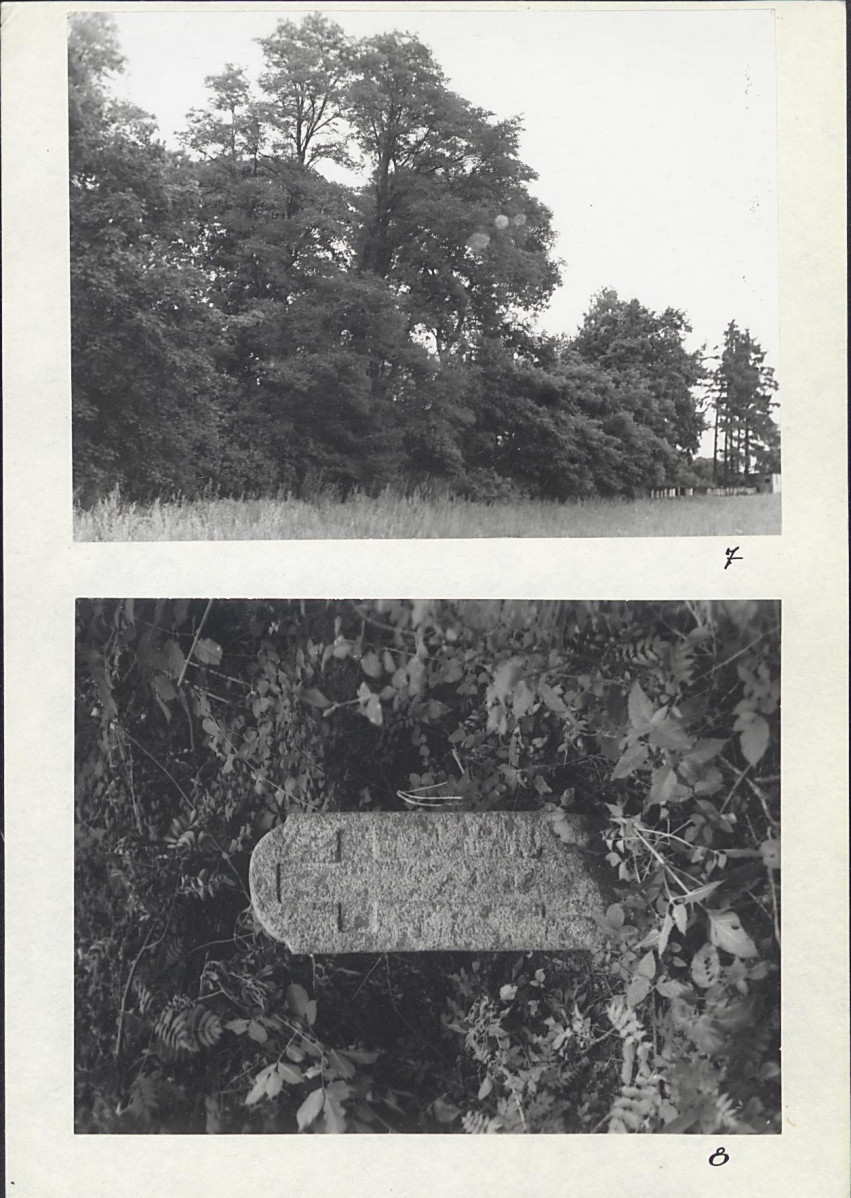 Karta cmentarza, skan nr 8