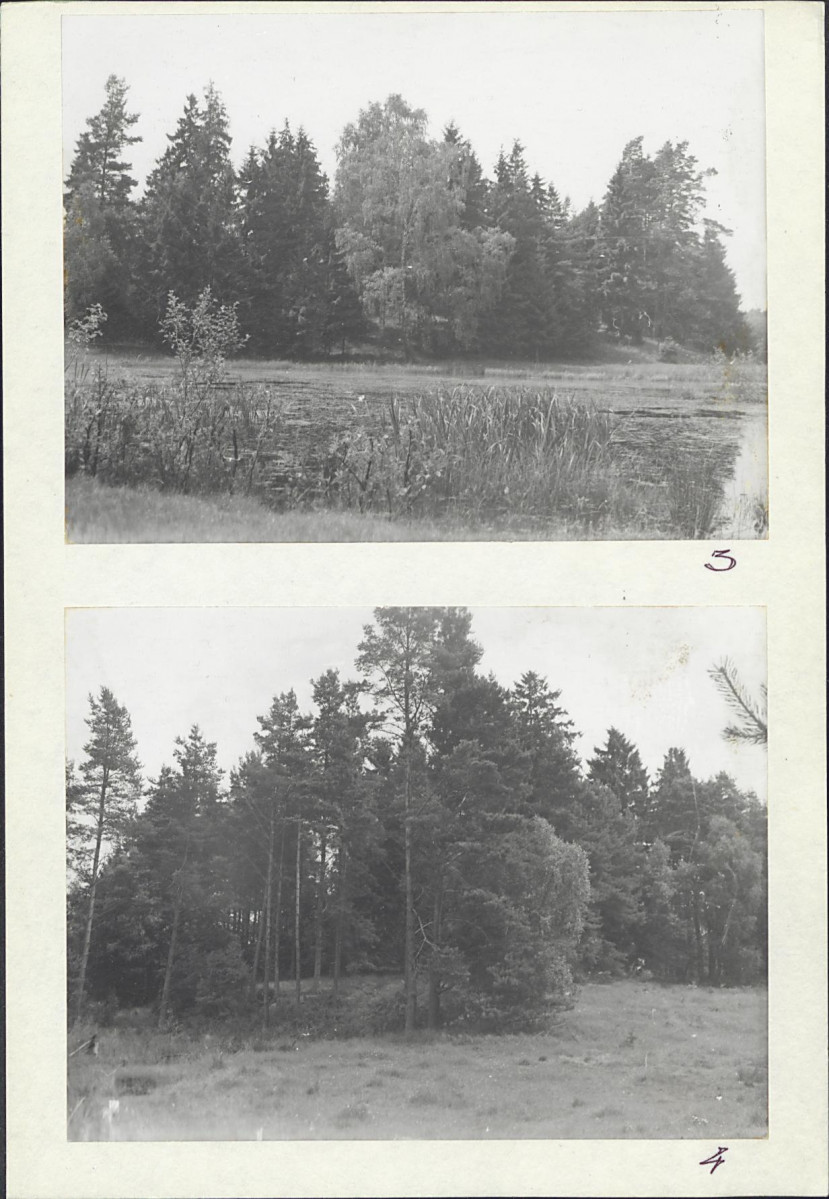 Karta cmentarza, skan nr 6