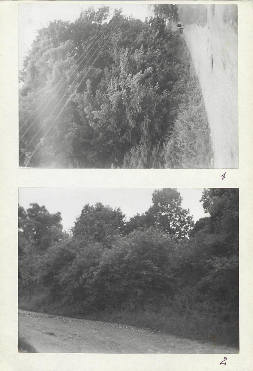 Karta cmentarza, skan nr 5