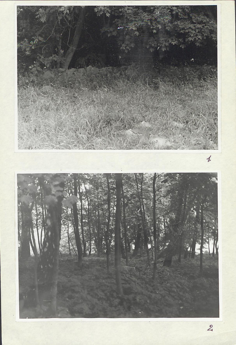 Karta cmentarza, skan nr 5