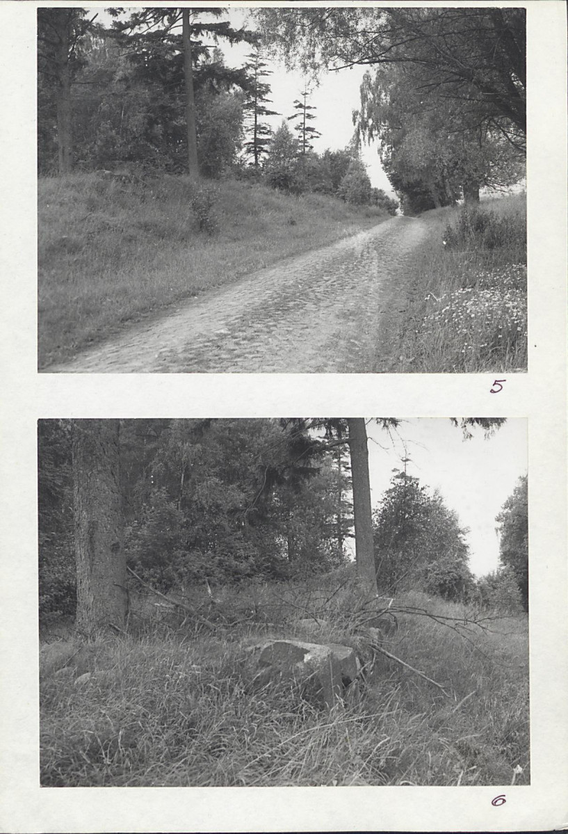 Karta cmentarza, skan nr 7