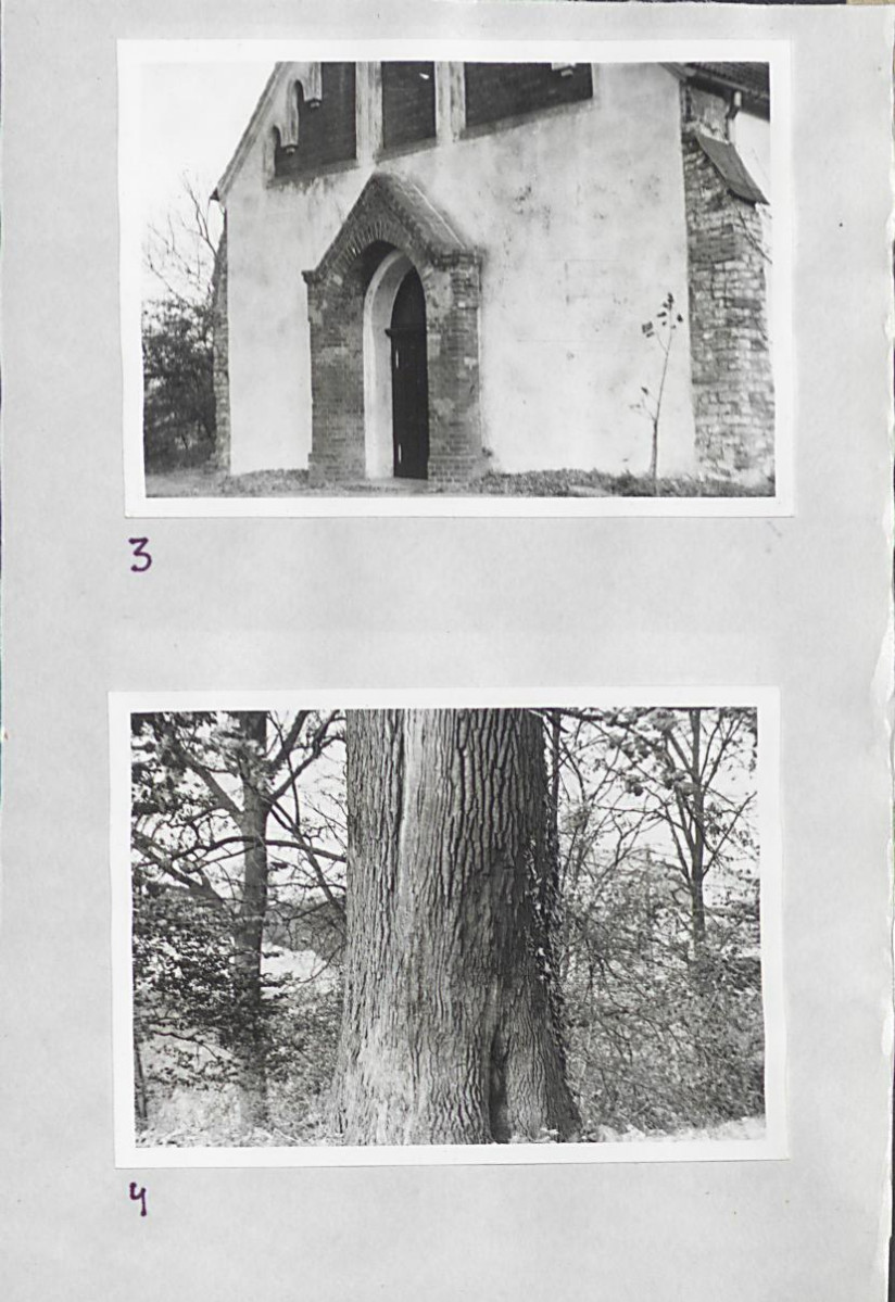 Karta cmentarza, skan nr 5