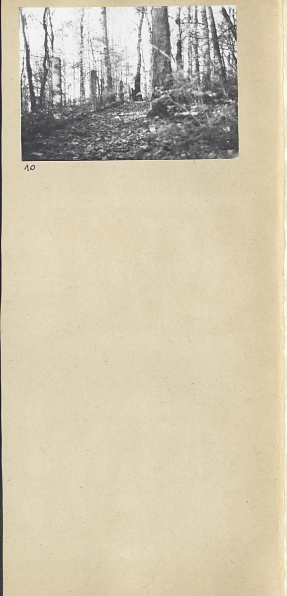 Karta cmentarza, skan nr 6