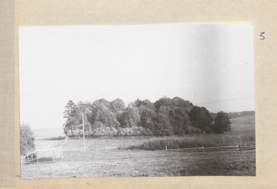 Karta cmentarza, skan nr 6