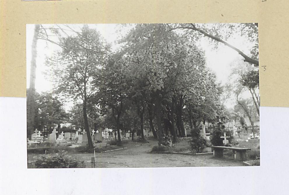 Karta cmentarza, skan nr 7