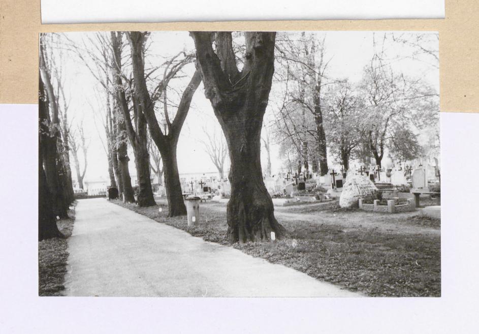 Karta cmentarza, skan nr 6