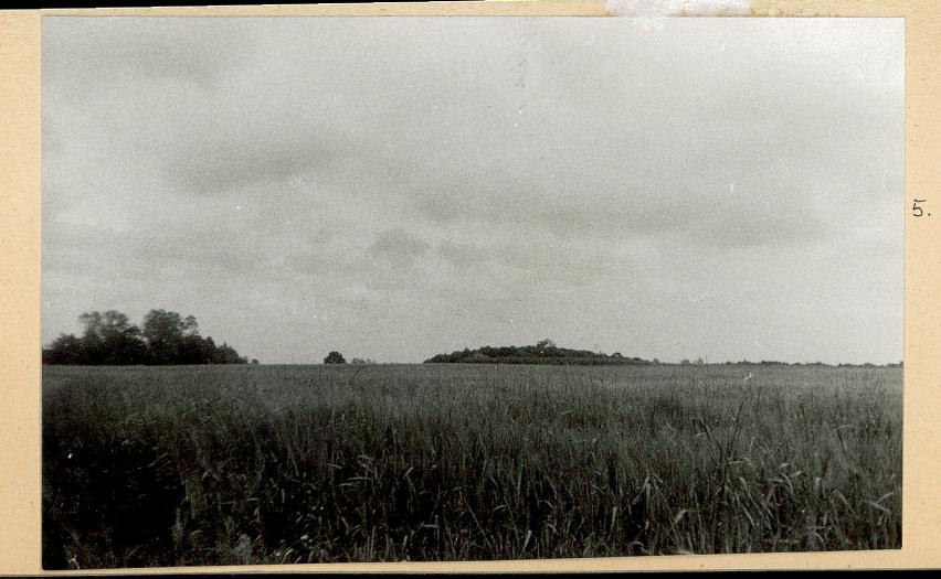 Karta cmentarza, skan nr 8