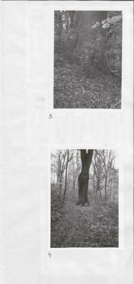 Karta cmentarza, skan nr 7