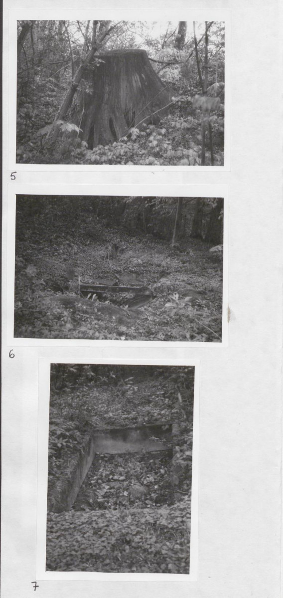 Karta cmentarza, skan nr 8