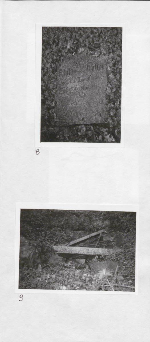 Karta cmentarza, skan nr 9