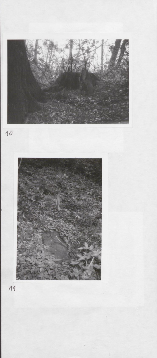 Karta cmentarza, skan nr 10