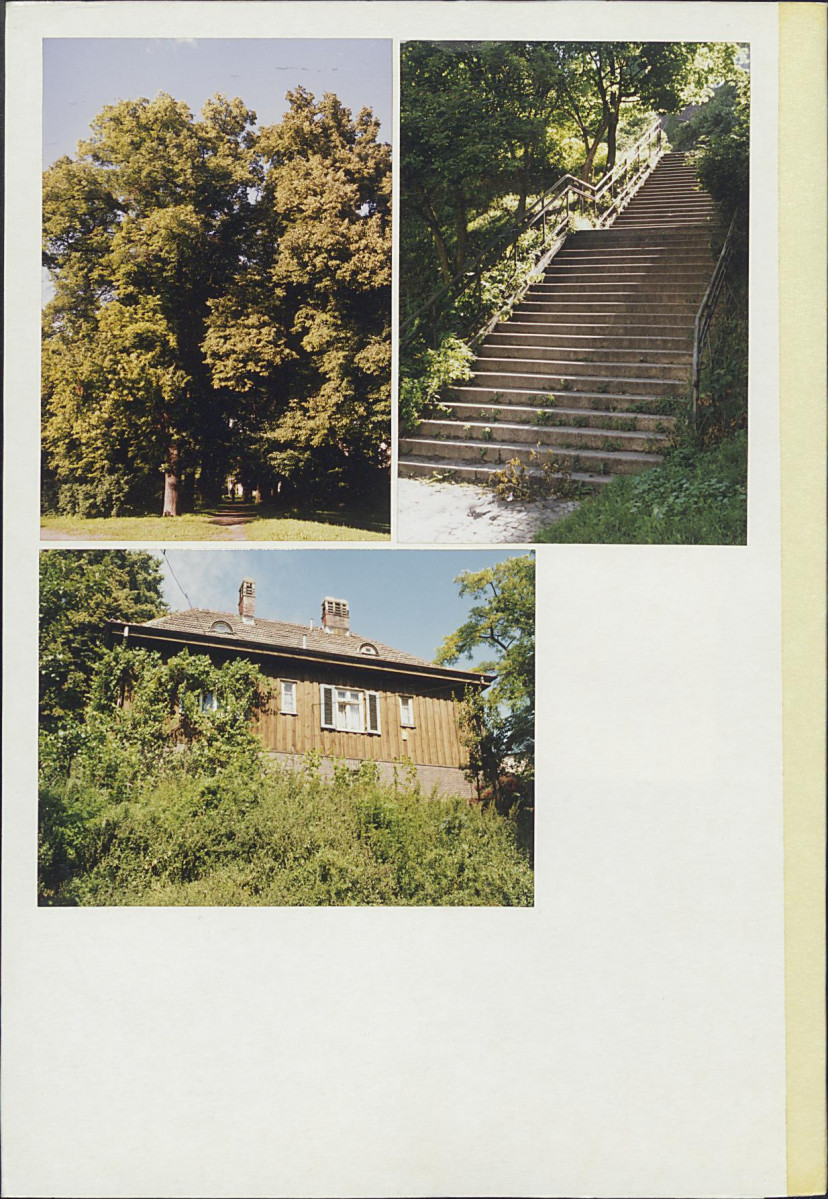KC - Karta cmentarza, skan nr 7
