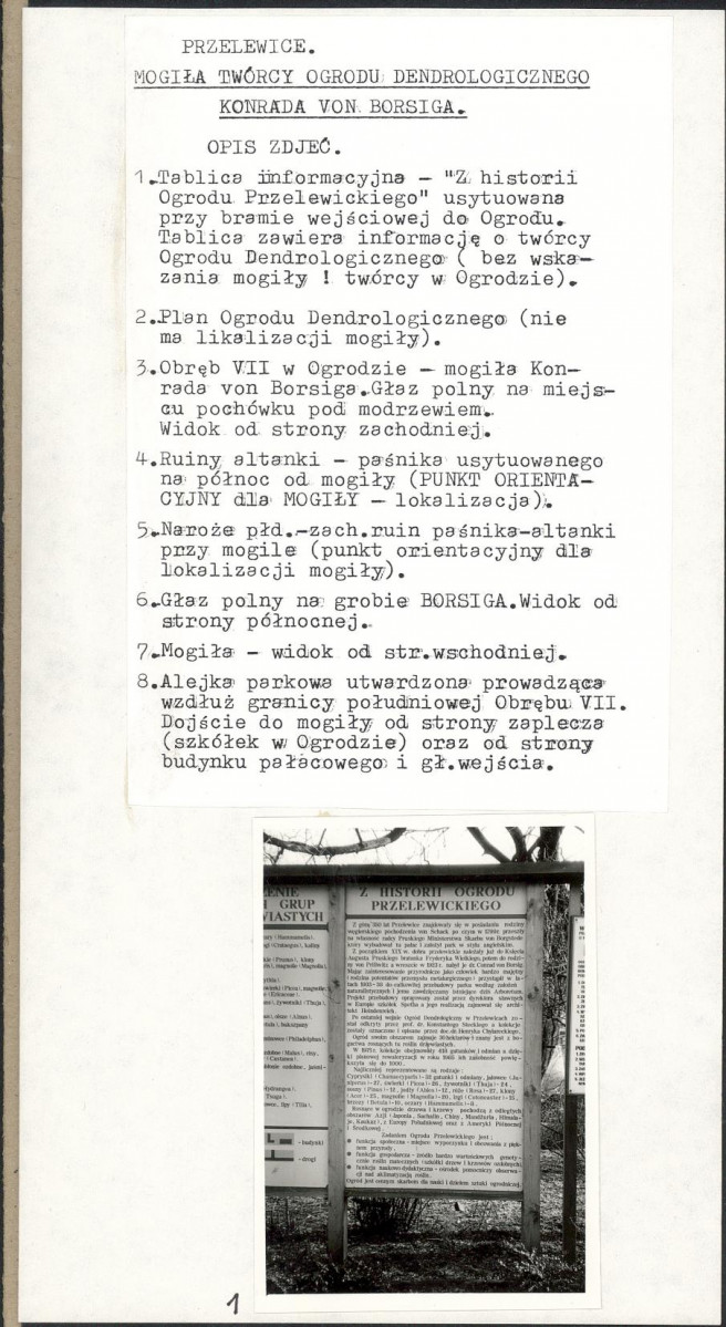 Karta cmentarza, skan nr 7