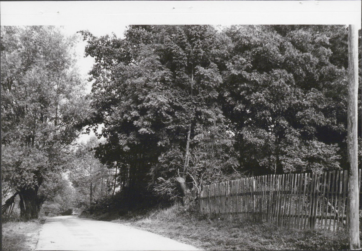 KC - Karta cmentarza, skan nr 6