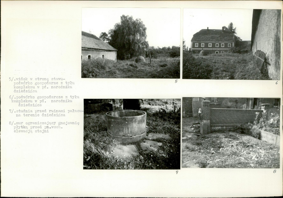 Karta biała, skan nr 19