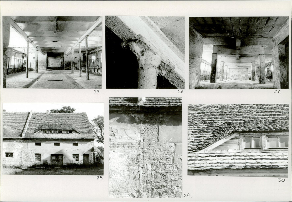Karta biała, skan nr 14