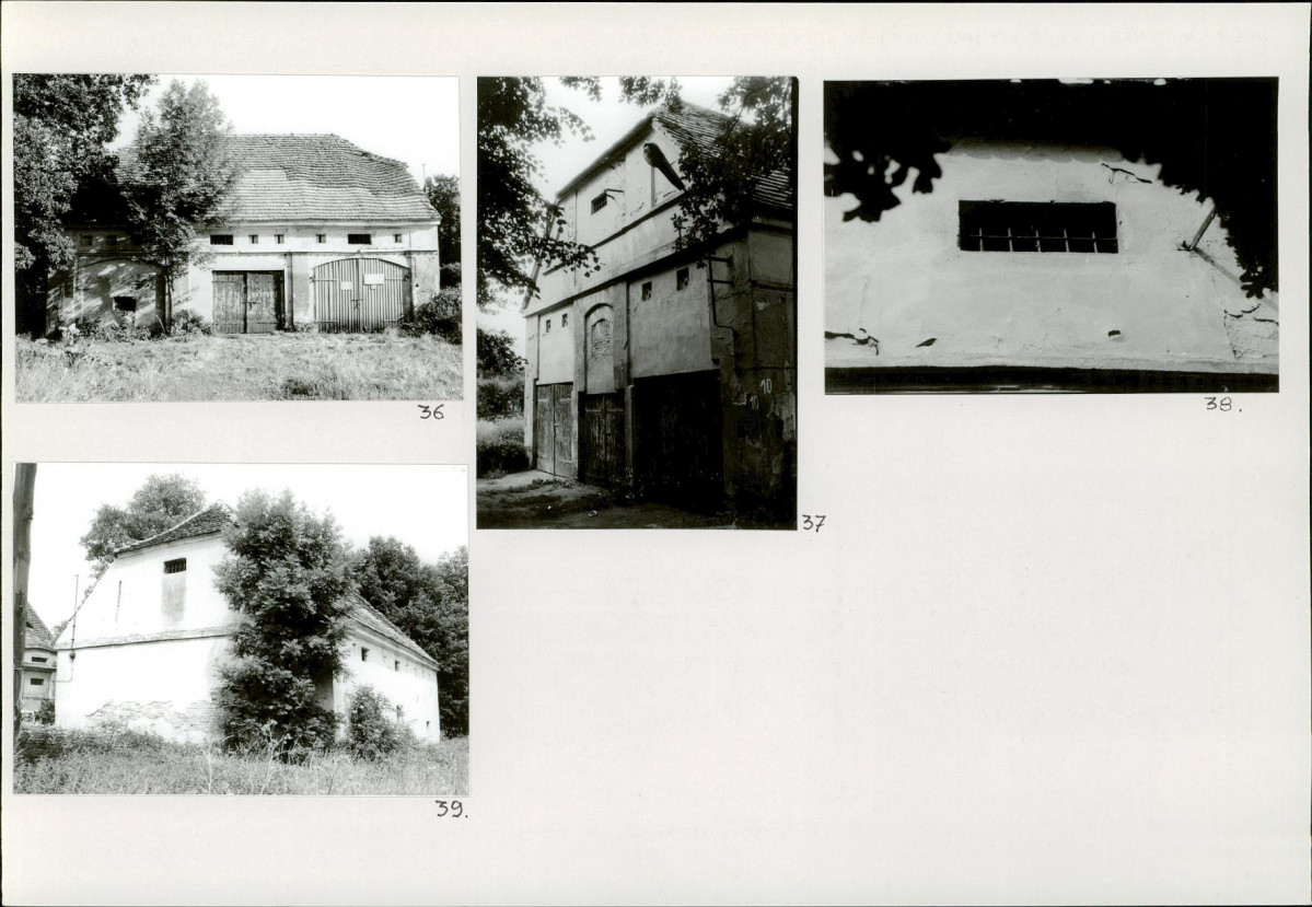 Karta biała, skan nr 16