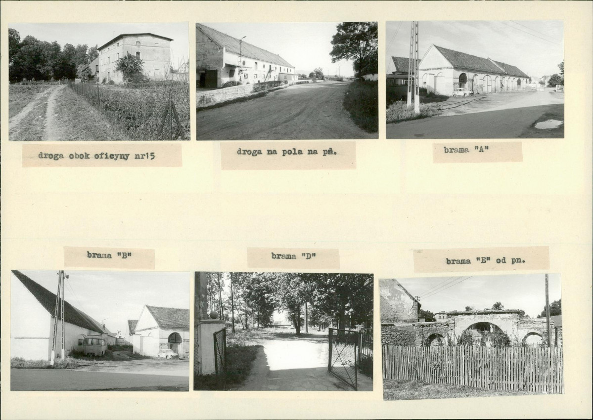 Karta biała, skan nr 14