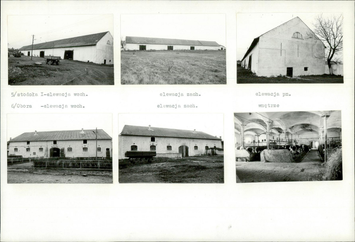 Karta biała, skan nr 10