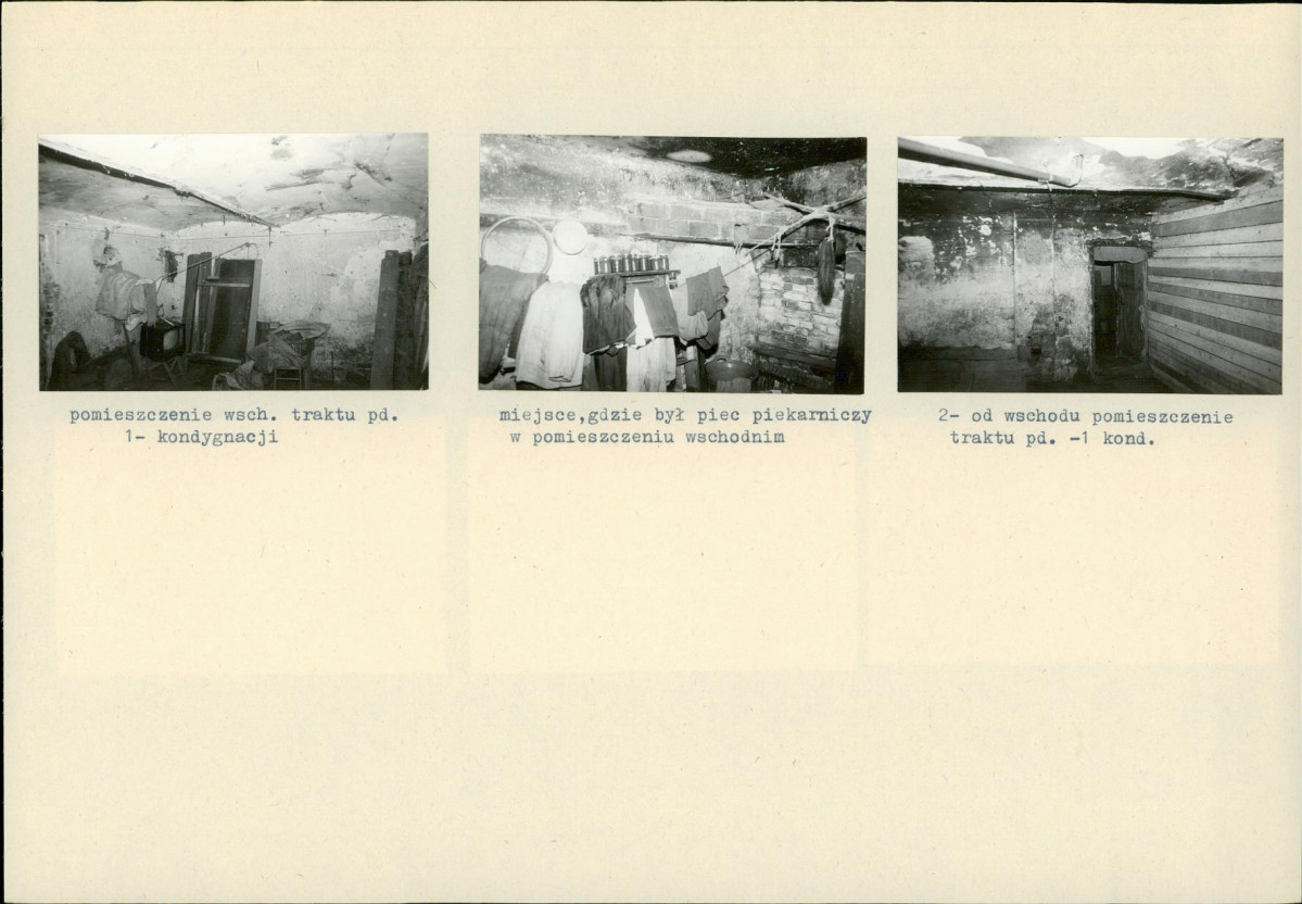 Karta biała, skan nr 6