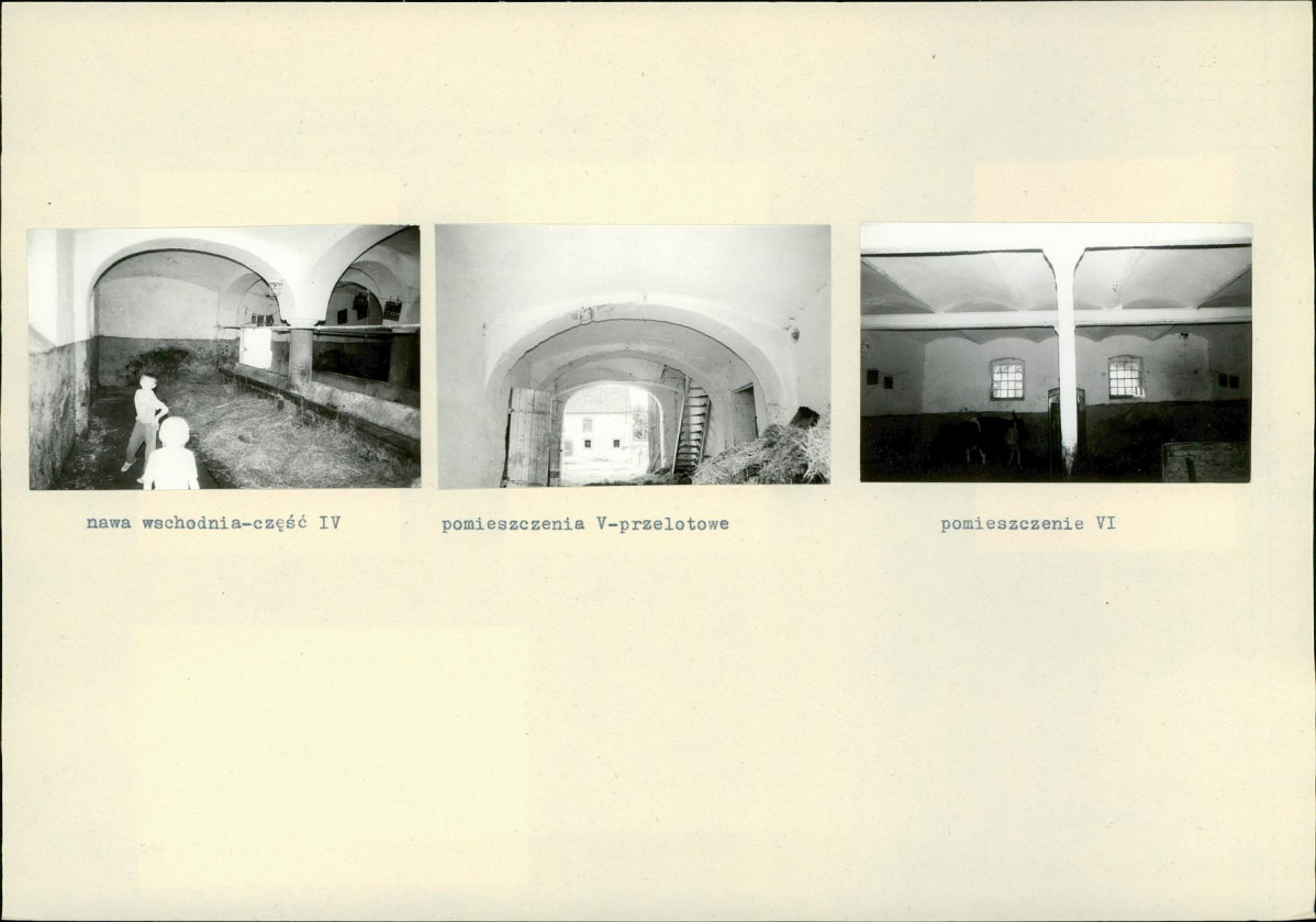 Karta biała, skan nr 8