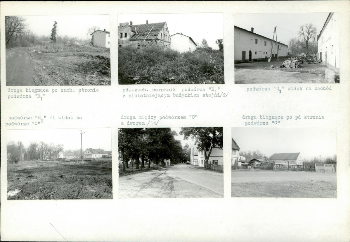 Karta biała, skan nr 10