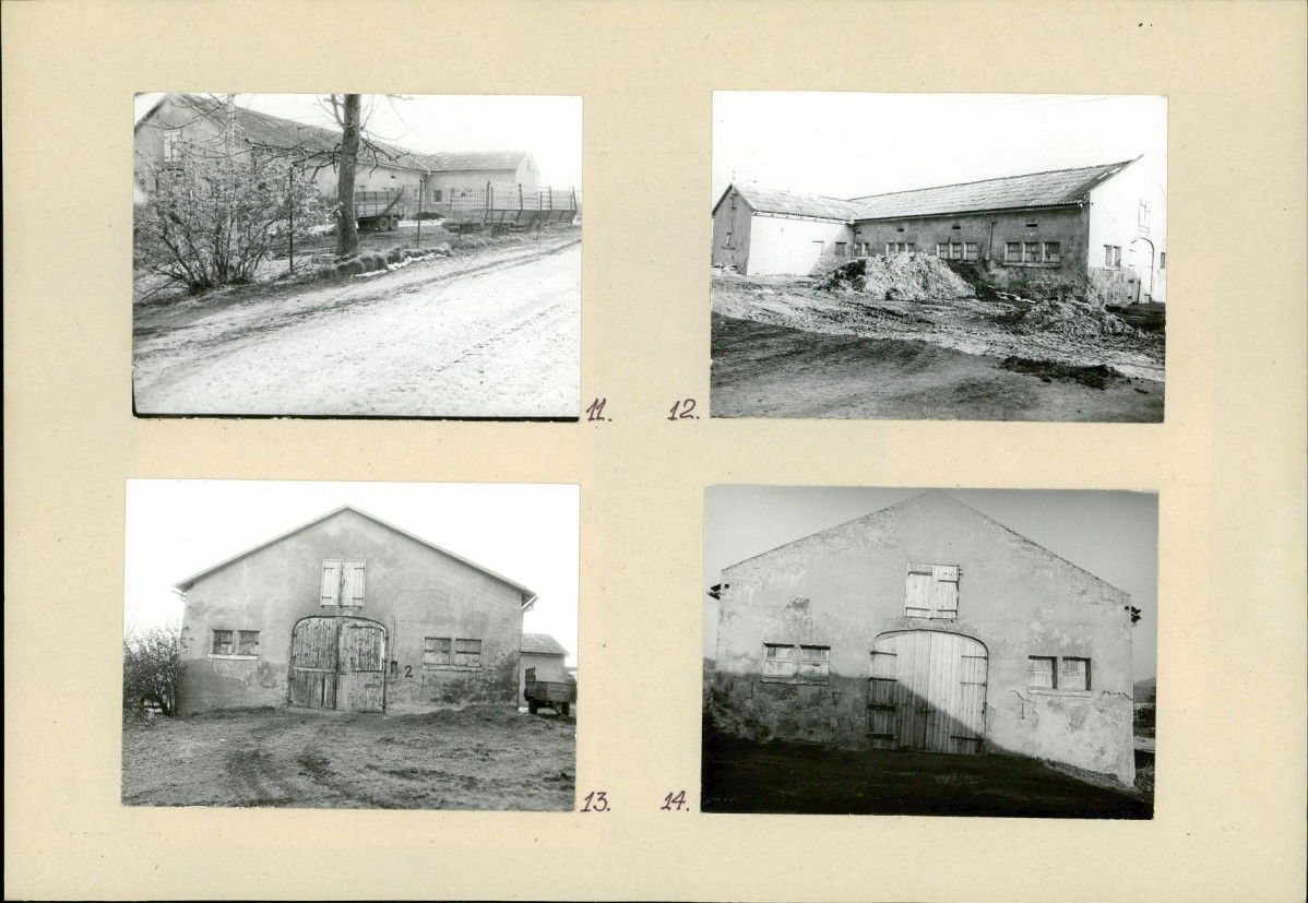 Karta biała, skan nr 10