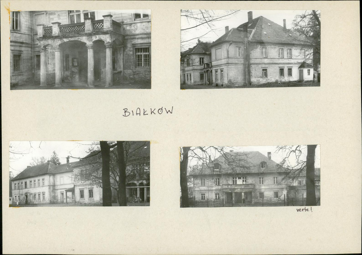 Karta biała, skan nr 5